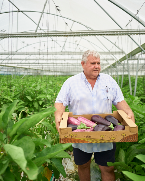 Pascal Béteille, producteur d'aubergines à Gontaud-de-Nogaret