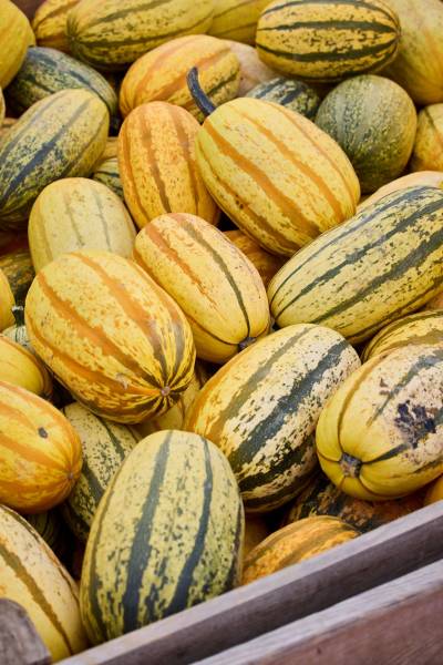 Vente de légumes locaux à Gradignan