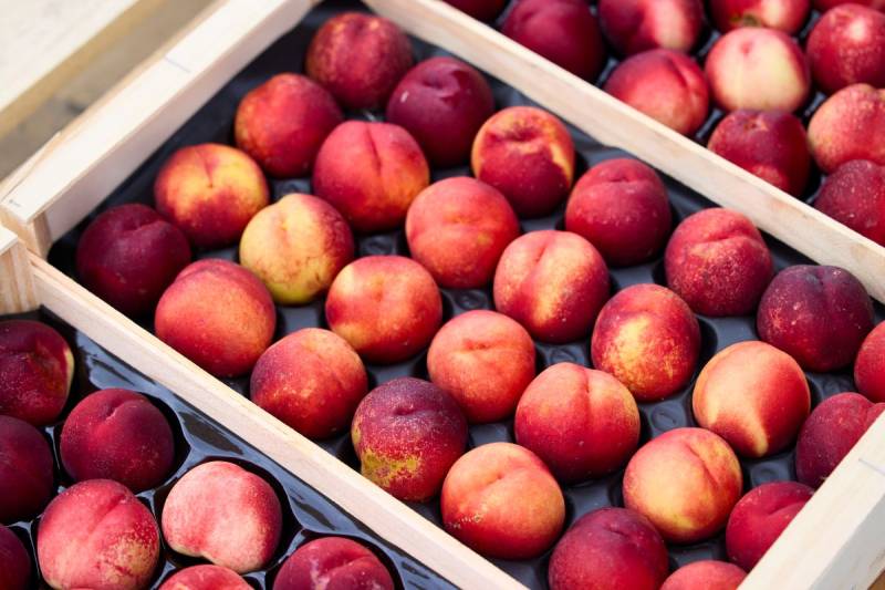 Vente de légumes locaux à Talence