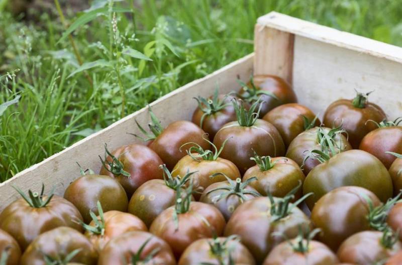 Vente de fruits et légumes de qualité à Bordeaux