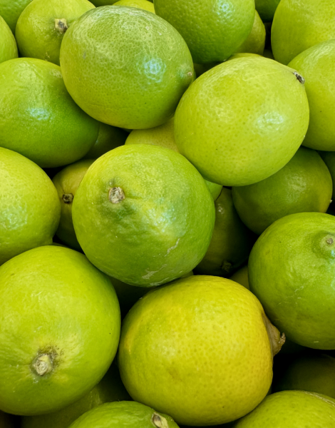 Le meilleur citron vert bio français est disponible à La Compagnie Fermière