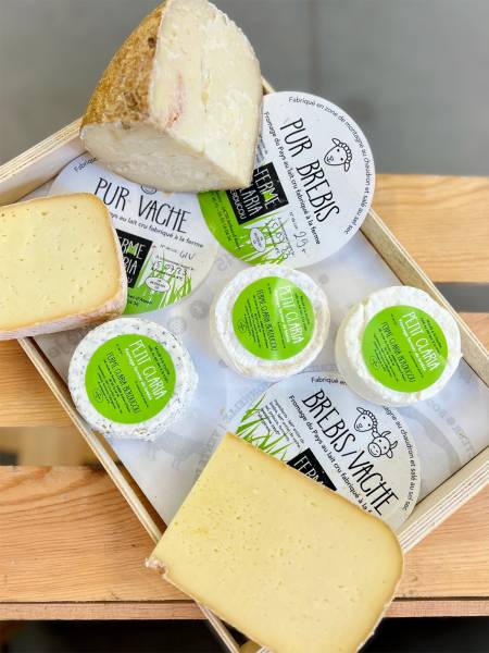 Claria : producteur de fromage de brebis près de Bordeaux