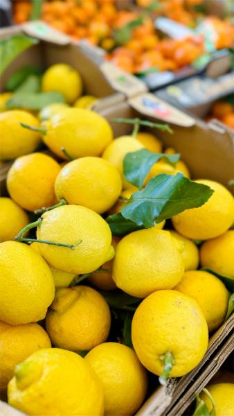 Fruits et agrumes corses frais et locaux à La Compagnie Fermière