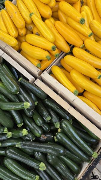 Fruits et légumes frais en circuit court à Mérignac et Gradignan