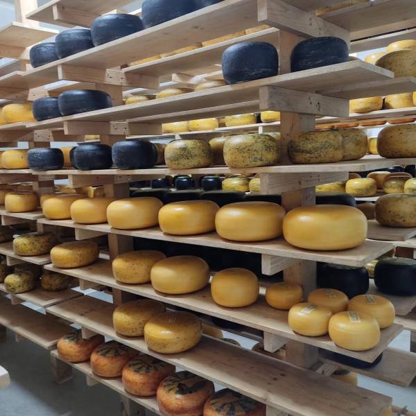 Gouda fermier local et savoureux à La Compagnie Fermière