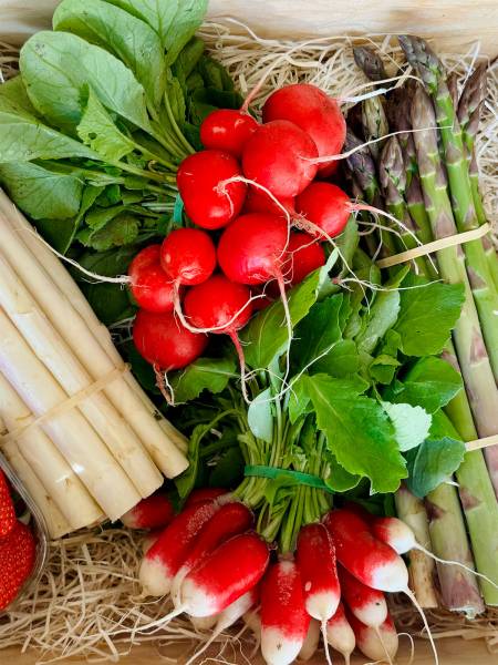 Produits locaux de qualité en vente directe à Gradignan et Mérignac. Circuit court, fruits et légumes de saison.