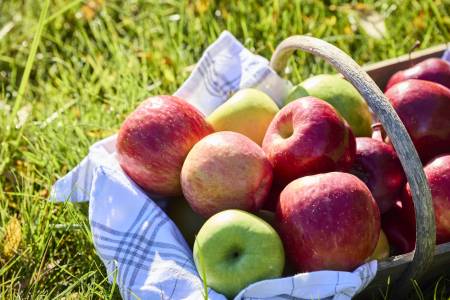 Notre zone d'activité pour ce service Vente de paniers de fruits et légumes frais de saison récoltés par des producteurs locaux engagés disponibles en magasin
