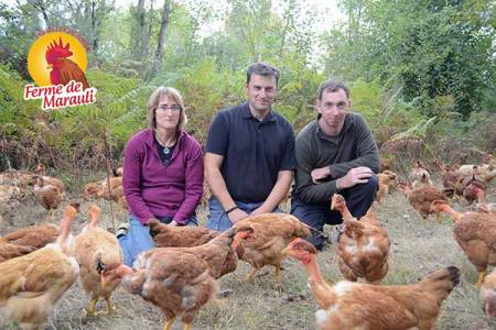 Nos prestations sur le secteur de proche Bordeaux 33000, Gironde