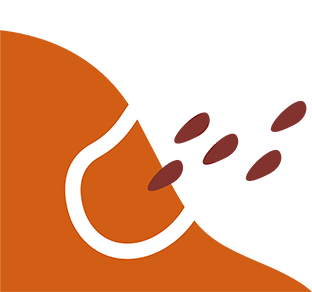/